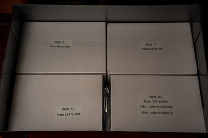 IXO Diamond 8 Mercedes W196 R n°8 Juan Manuel Fangio 1954-55 F1 World Champion 1/8 IXO-003