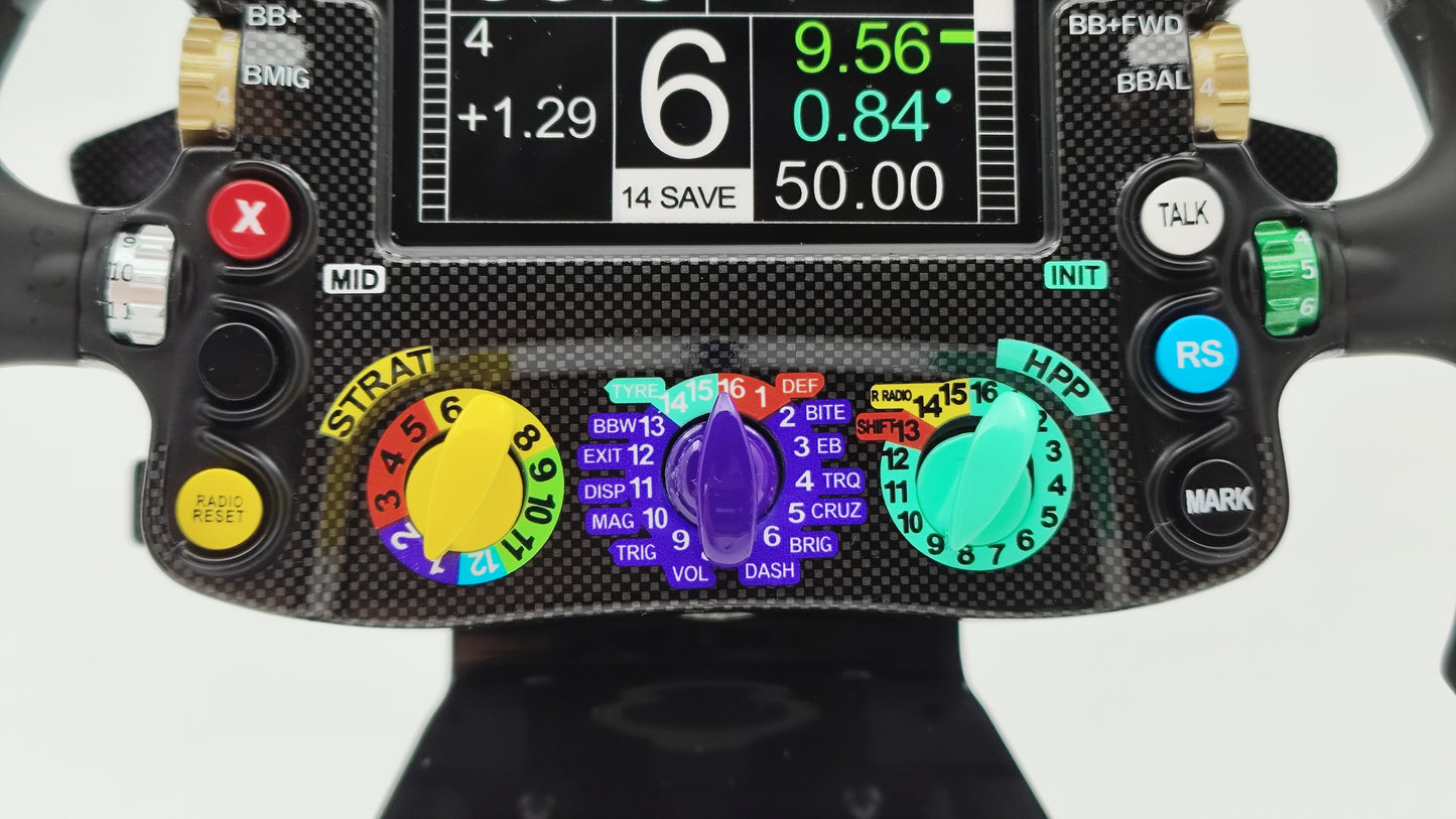 Minichamps AMG Mercedes W05 Lewis Hamilton 2014 Abu Dhabi GP F1 World Champion 1/2 4012138753198