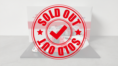 Spark Rondeau M397B N°17 3rd 24H Le Mans 1980 1/18 18S421